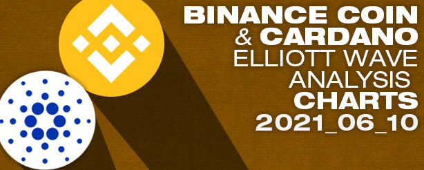 Binance Coin PLUS Cardano  Elliott Wave Analysis, 10 June