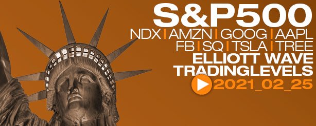 SP500, NDX, AMZN, GOOG, AAPL, FB, SQ, TSLA, TREE, Technical Analysis Elliott Wave 23 Feb